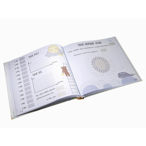 Фотоальбом ДЕТСКИЙ 30х30 см 30 листов, иллюстрированный с местами для фотографий и подписей (FA-BBI30 - 235)